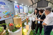 APEC 식량장관회의서 K푸드 진수 알린다