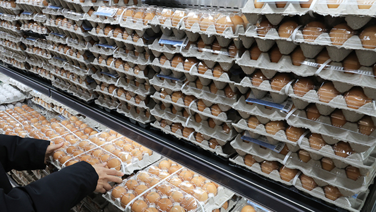 농식품부, 계란 가격 안정 위해 미국서 224만개 시범 수입