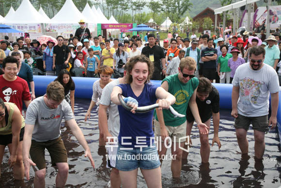 2013년 축제에서 외국 관광객들이 풍천장어 맨손으로 잡기 체험을 하고 있다