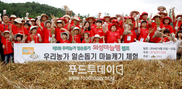 의성마늘햄캠프에 참석자들이 마늘 수확을 돕고 기념사진을 찍고있다