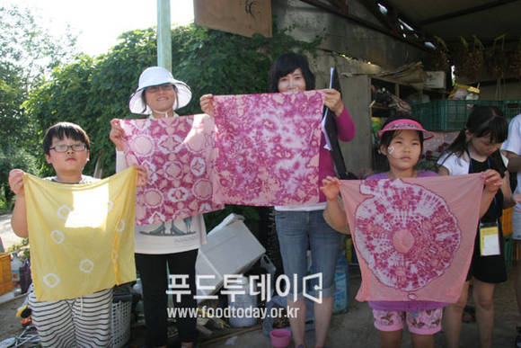 천연염색체험