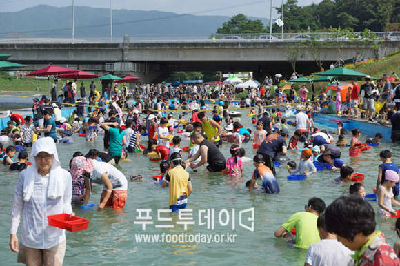 다슬기를 잡고 있는 축제 참가자들