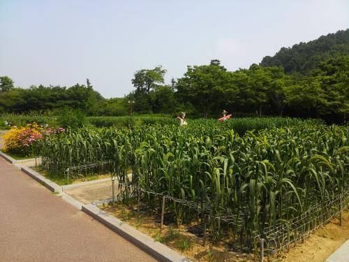 대구수목원