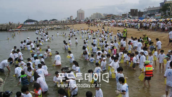 장사어촌체험마을 맨손으로 오징어잡기 체험
