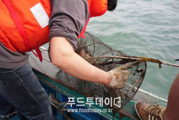 고현어촌체험마을 통발낚시 체험