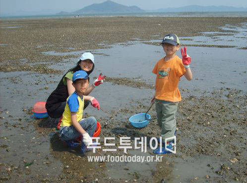 수문어촌체험마을 바지락 캐기 체험