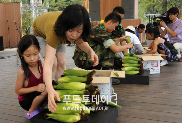옥수수 탑 쌓기
