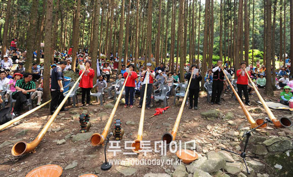 축령산 산소(O2)축제