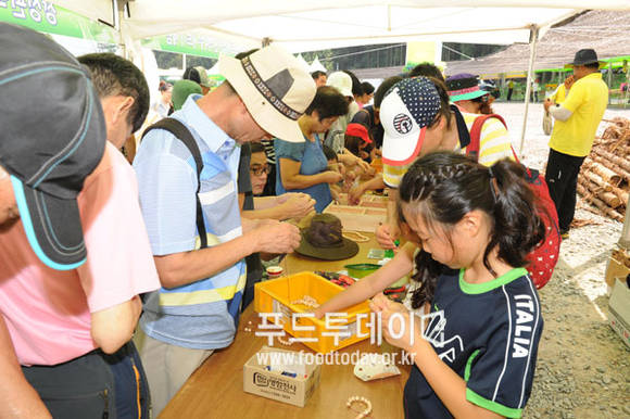 축령산 산소(O2)축제