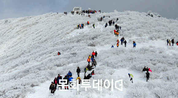 태백산 등반대회