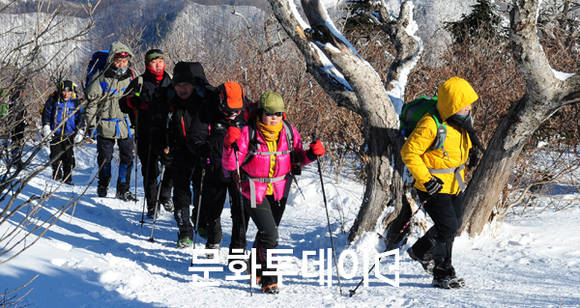 태백산 등반대회