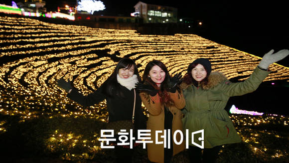 보성차밭 빛축제