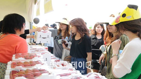 논산 딸기축제
