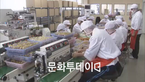사회적 기업