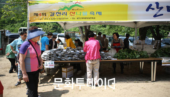 2012년 산나물 축제
