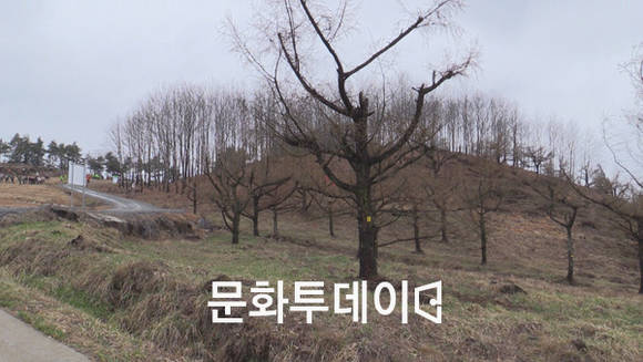 충주 수안보 국립산림품종관리센터