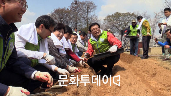국회의원들과 이동필 농림부 장관이 감자모종을 심고 있다.