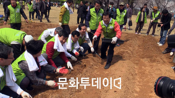 국회 헌정회 앞 텃밭에서 국회의원들, 이동필 장관 감자 모종 심고 있다.