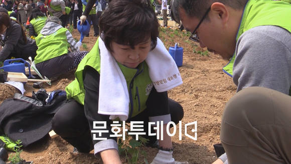 윤명희 국회의원은 국회 텃밭가꾸기 행사에서 모종을 심고 있다.