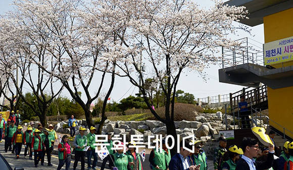 충북 제천시, 시민시장들과 벚꽃길 걷기대회