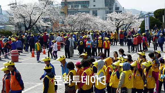 충북 제천시, 시민시장들과 벚꽃길 걷기대회