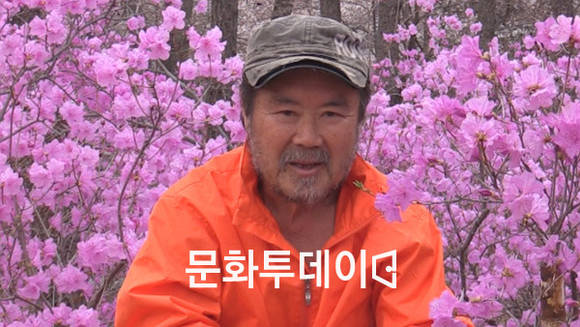정월하 작사가