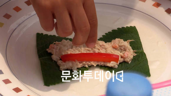 MC 조영구