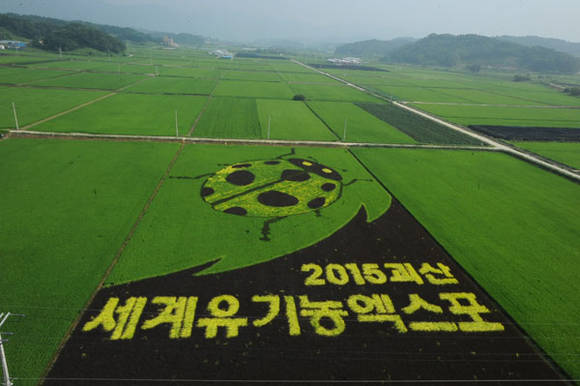 들판 (괴산세계유기농산업엑스포 조직위원회)