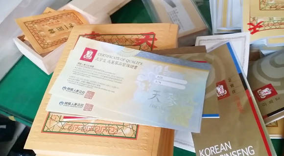 가짜 천삼 보증서