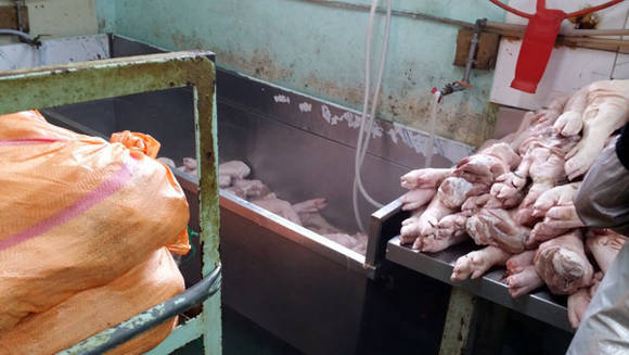 냉동족발 (부산서부경찰서 제공)