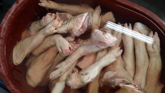 해동중인 냉동족발 (부산서부경찰서 제공)