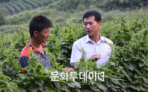 푸드투데이 김병주 기자, 제천 백수오 농민 인터뷰를 하고 있다.