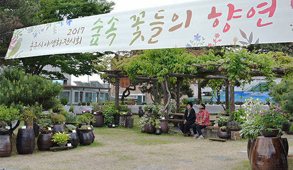 15일 열린 '충주야생화전시회' 모습.