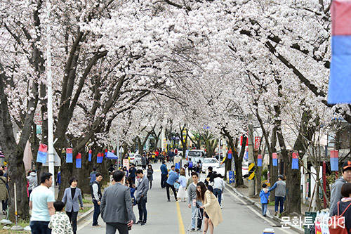 ‘제천 청풍호 벚꽃축제’에 참여할 체험부스와 공연행사 참여자가 오는 23일까지 모집된다. 사진은 제천 청풍호 벚꽃축제. (출처: 제천시청)