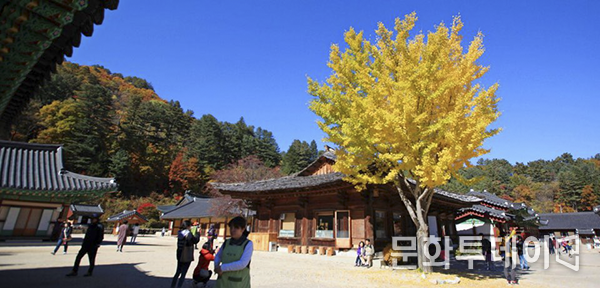 사진 : 김진수 문화투데이 논설실장