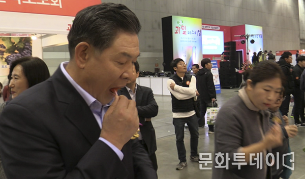 박영훈 한국떫은감협회 회장이 떫은감을 먹으면서 설명하고 있다