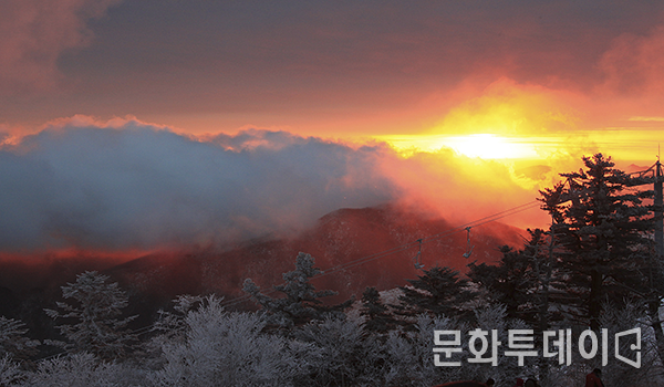 2019년 기해년 황금돼지의 해 1일 덕유산 일출