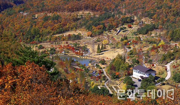 포항 12경. 경상북도 수목원의 사계