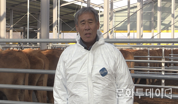 김학수 인천시 강화 한우농장주