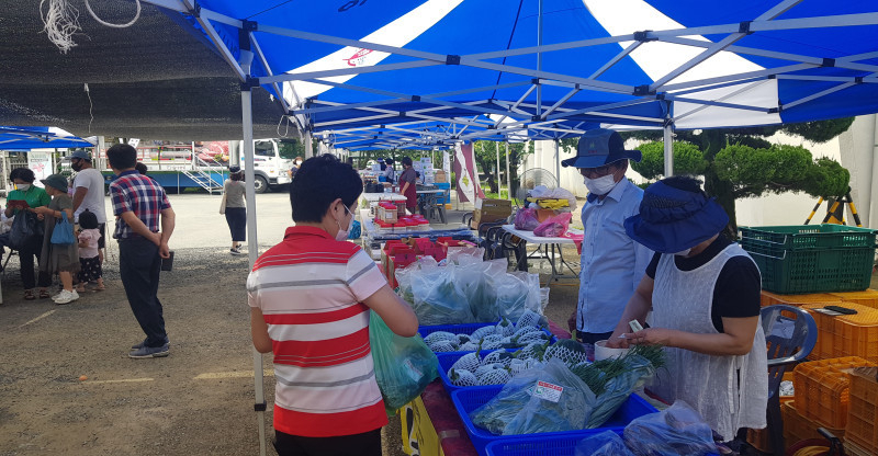 유기농 채소를 직거래하고있다.