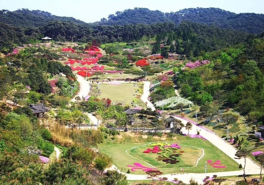 충남도는 안면도자연휴양림에서 오는 3월부터 11월까지 탄소증립과 연계한 숲 해설 프로그램을 운영한다고 밝혔다.
