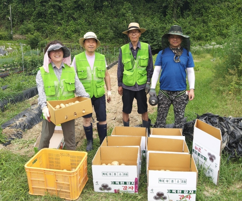 옥천군에 귀농 귀촌을 희망하는 한 가족이 '미리살아보기' 체험을 하며 감자를 재배하고 있다.