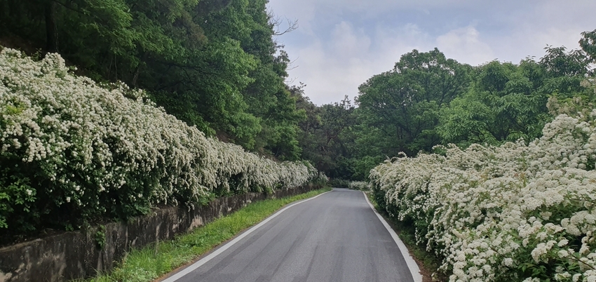 진천군 초평면 화산리 산34-1 지역특화 조림단지