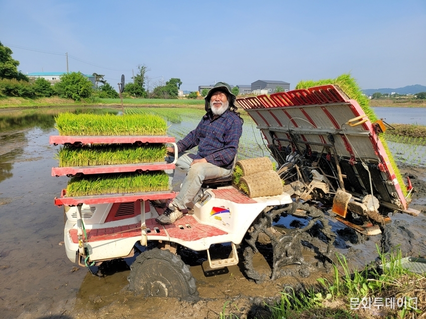 농민배우 겸 가수 정건범이 29일 화성시 한 농가에서 모내기 일손을 돕고있다. 