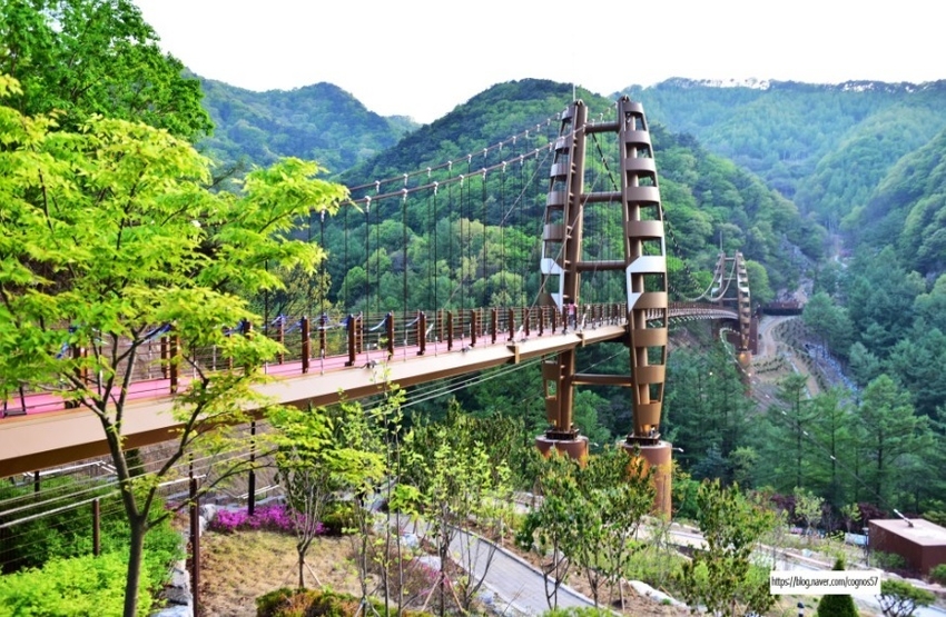 충복도가 도내 출렁다리 안전점검 합동관리에 들어간다. 사진은 중평 좌구산 출렁다리.