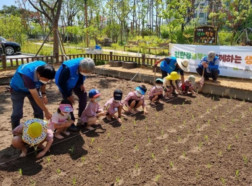 지난달 31일 나성유치원 원아들이 생태 텃논에서 모줄을 대며 전통 모내기 체험행사를 하고 있다.