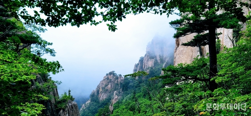 창문으로 한 폭의 실경산수화를 보는 느낌이다.
