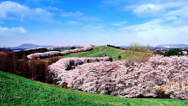 서산 한우목장<br>
