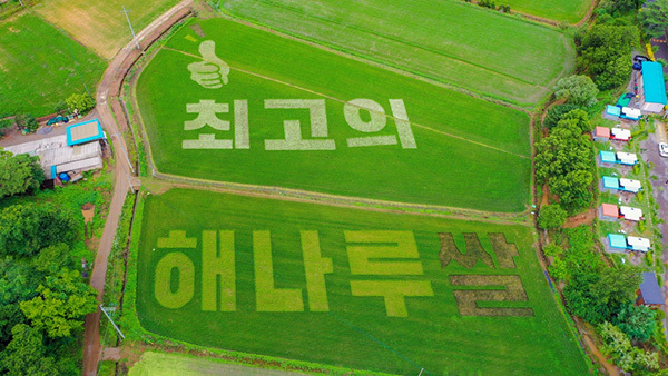 '최고의 해나루쌀' 논 그림<br>
