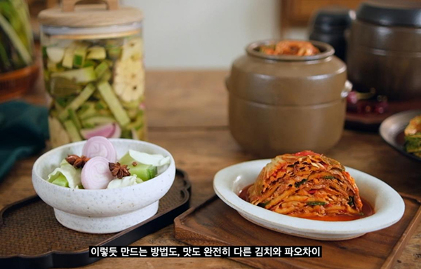'김치의 특별함' 영상의 한 부분.<br>
